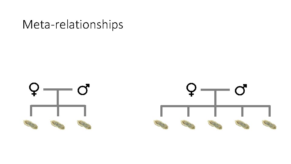 Meta-relationships 