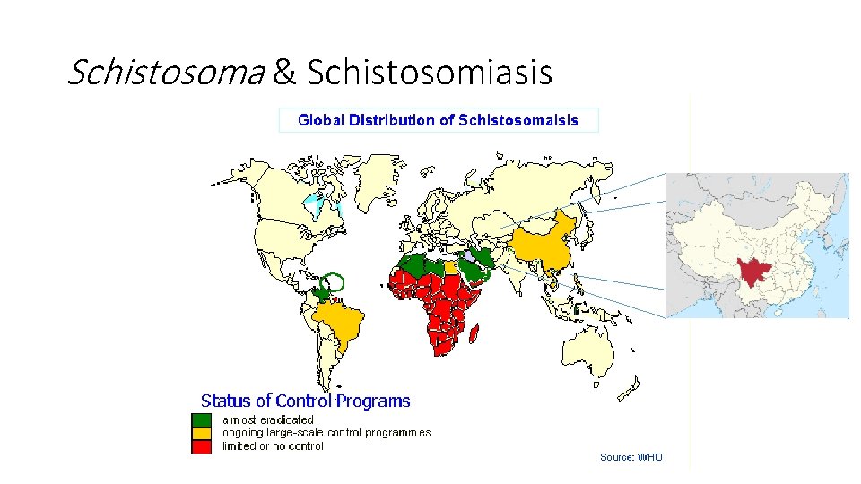 Schistosoma & Schistosomiasis 
