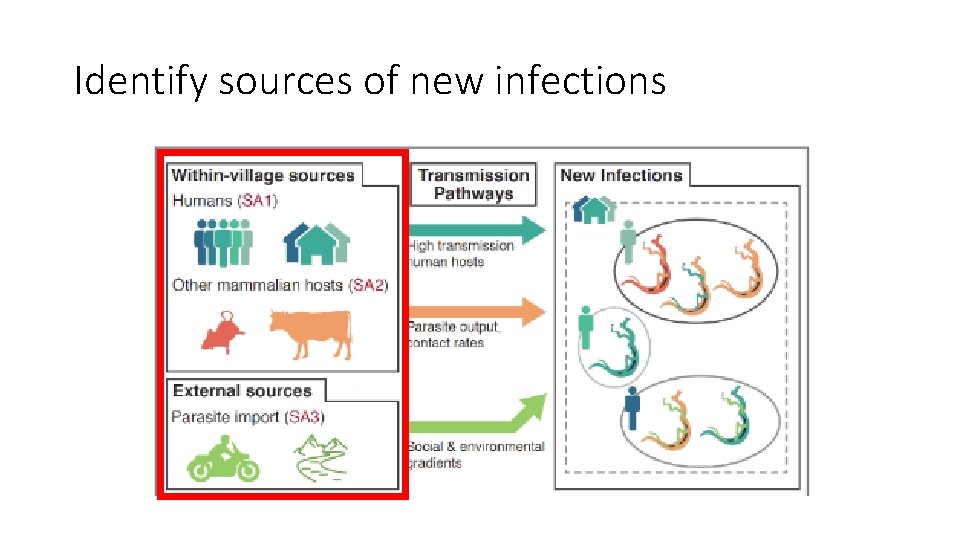 Identify sources of new infections 