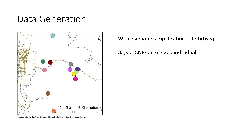 Data Generation Whole genome amplification + dd. RADseq 33, 901 SNPs across 200 individuals