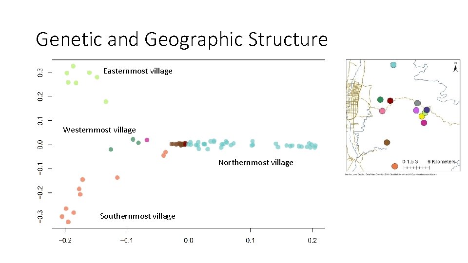 Genetic and Geographic Structure Easternmost village Westernmost village Northernmost village Southernmost village 