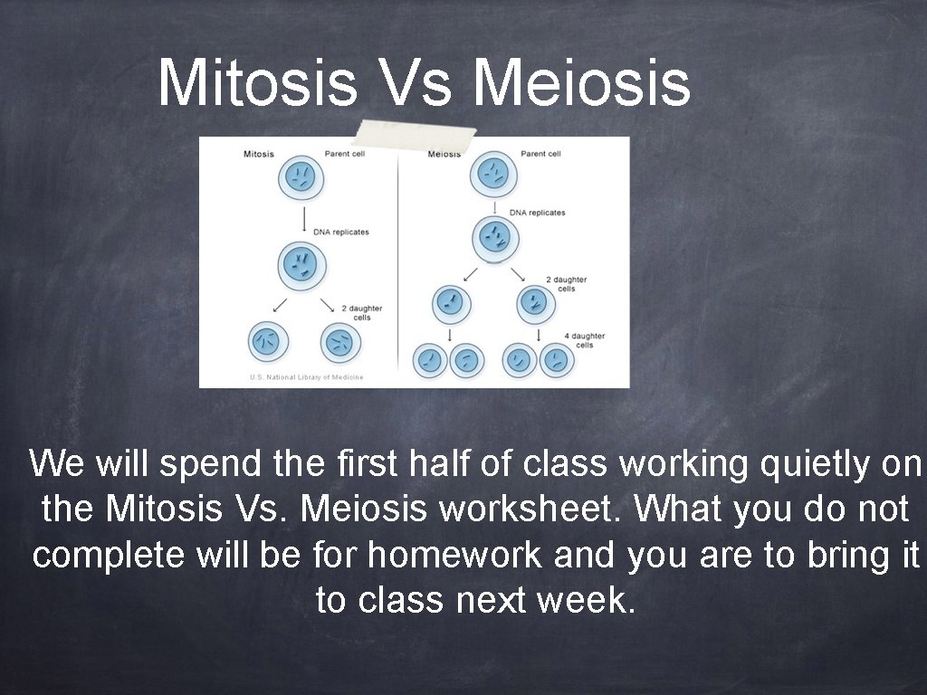 Mitosis Vs Meiosis We will spend the first half of class working quietly on
