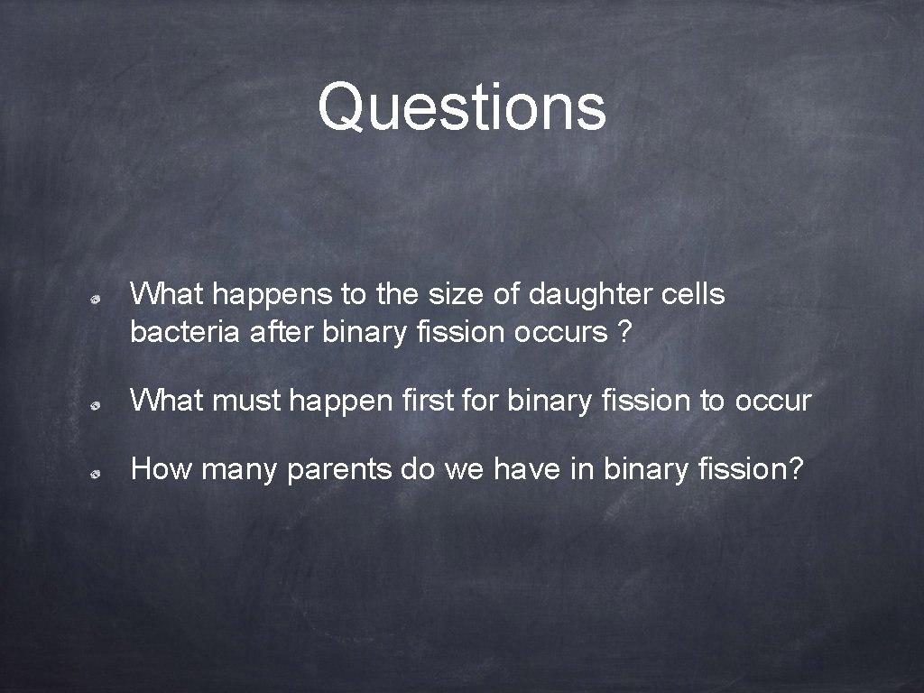 Questions What happens to the size of daughter cells bacteria after binary fission occurs