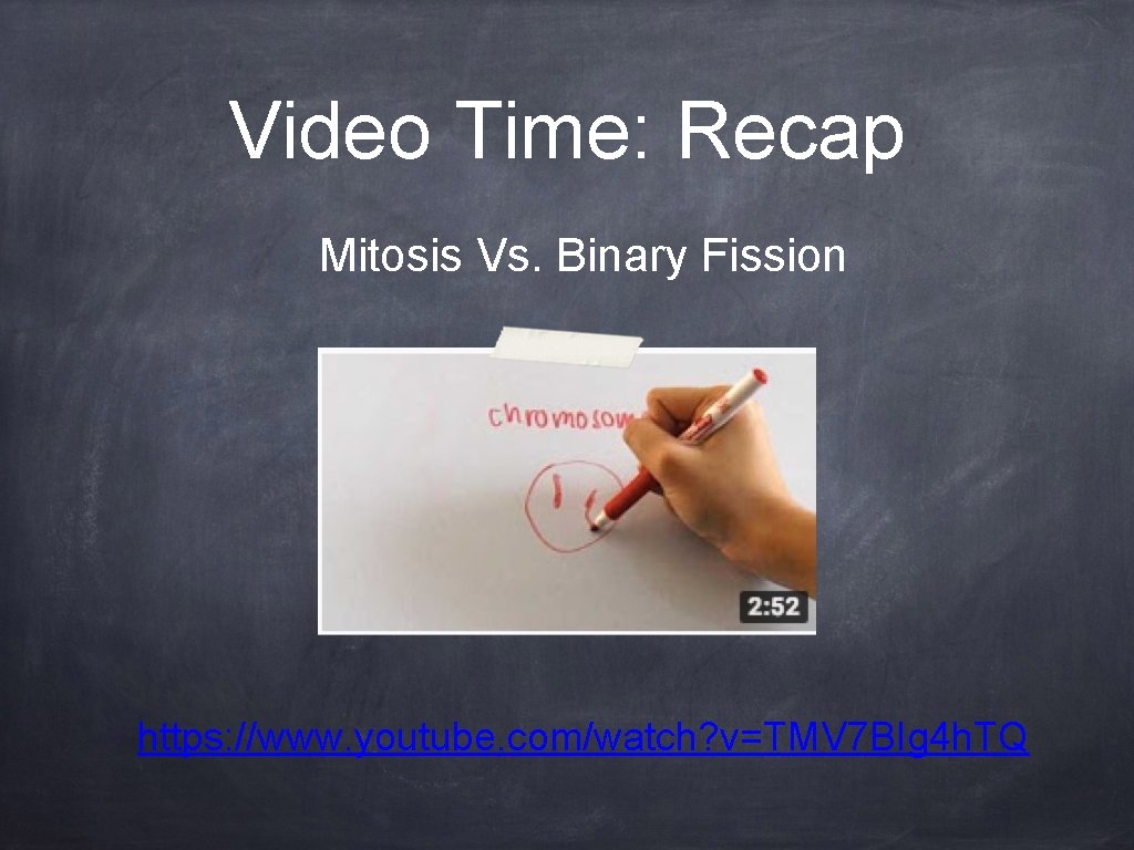 Video Time: Recap Mitosis Vs. Binary Fission https: //www. youtube. com/watch? v=TMV 7 BIg