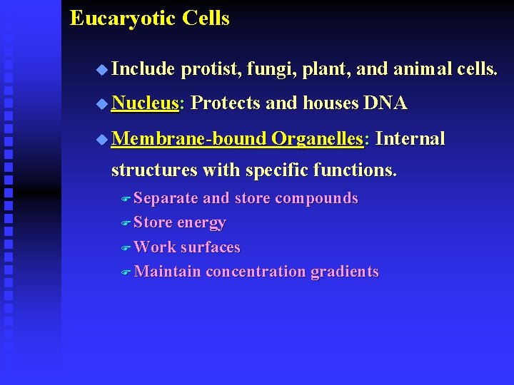 Eucaryotic Cells u Include protist, fungi, plant, and animal cells. u Nucleus: Protects and