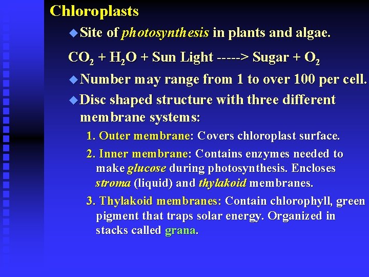 Chloroplasts u Site of photosynthesis in plants and algae. CO 2 + H 2