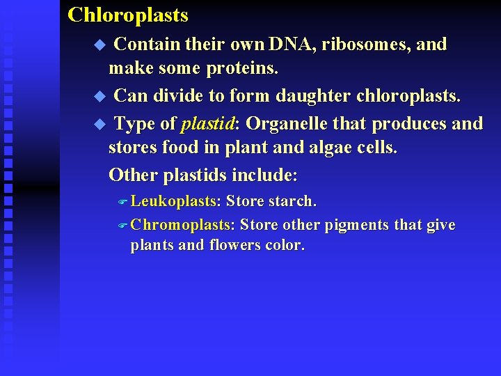 Chloroplasts Contain their own DNA, ribosomes, and make some proteins. u Can divide to