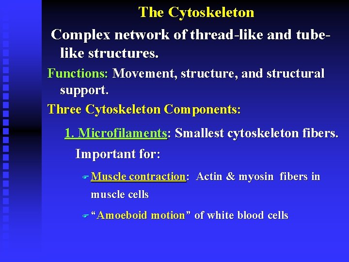 The Cytoskeleton Complex network of thread-like and tubelike structures. Functions: Movement, structure, and structural