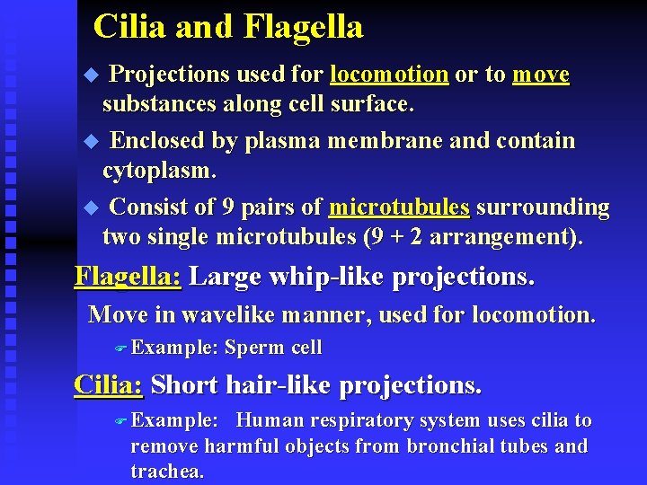Cilia and Flagella Projections used for locomotion or to move substances along cell surface.