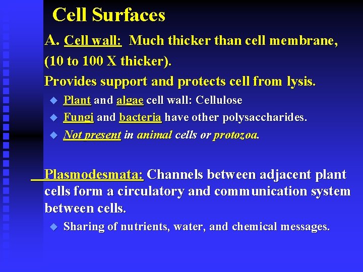 Cell Surfaces A. Cell wall: Much thicker than cell membrane, (10 to 100 X