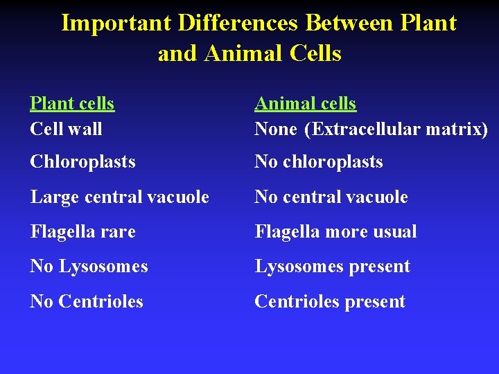 Important Differences Between Plant and Animal Cells Plant cells Cell wall Animal cells None