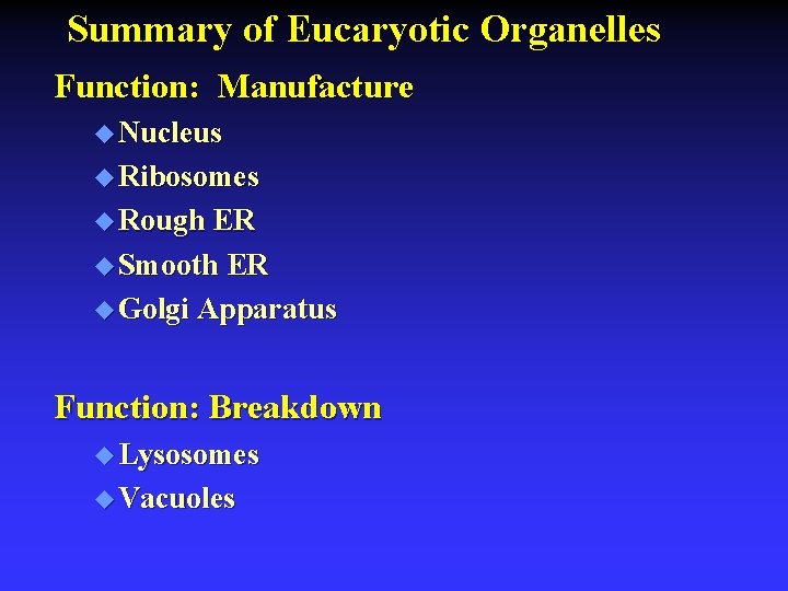 Summary of Eucaryotic Organelles Function: Manufacture u Nucleus u Ribosomes u Rough ER u