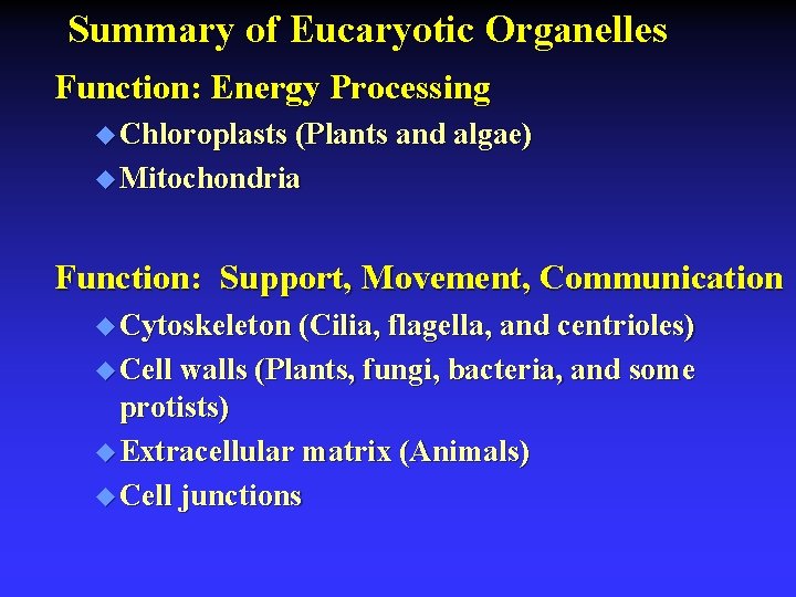 Summary of Eucaryotic Organelles Function: Energy Processing u Chloroplasts (Plants and algae) u Mitochondria