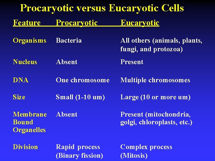 Procaryotic versus Eucaryotic Cells Feature Procaryotic Eucaryotic Organisms Bacteria All others (animals, plants, fungi,
