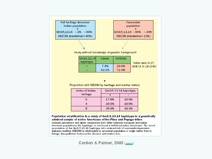 Cardon & Palmer, 2003 (www) 