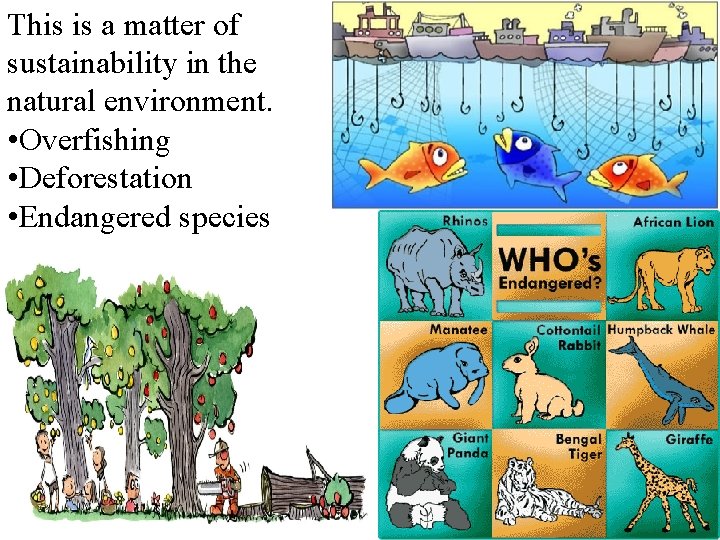 This is a matter of sustainability in the natural environment. • Overfishing • Deforestation