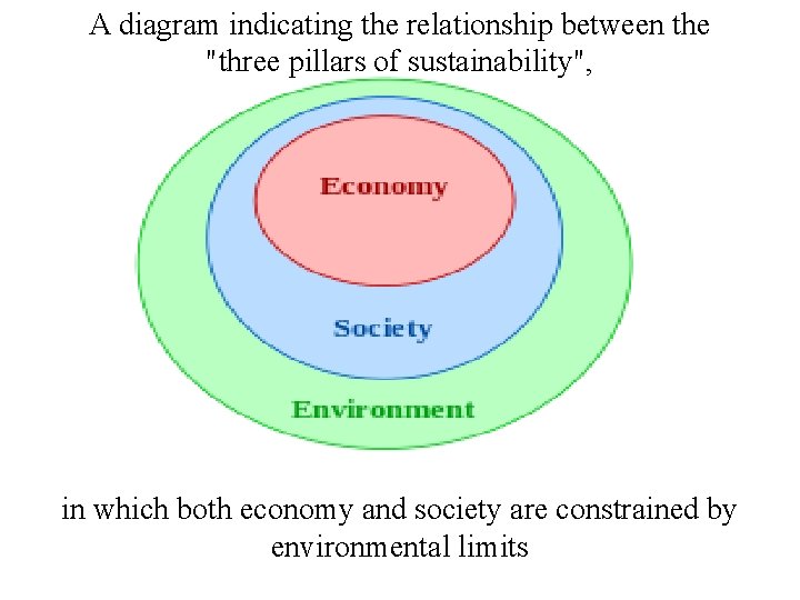 A diagram indicating the relationship between the "three pillars of sustainability", in which both