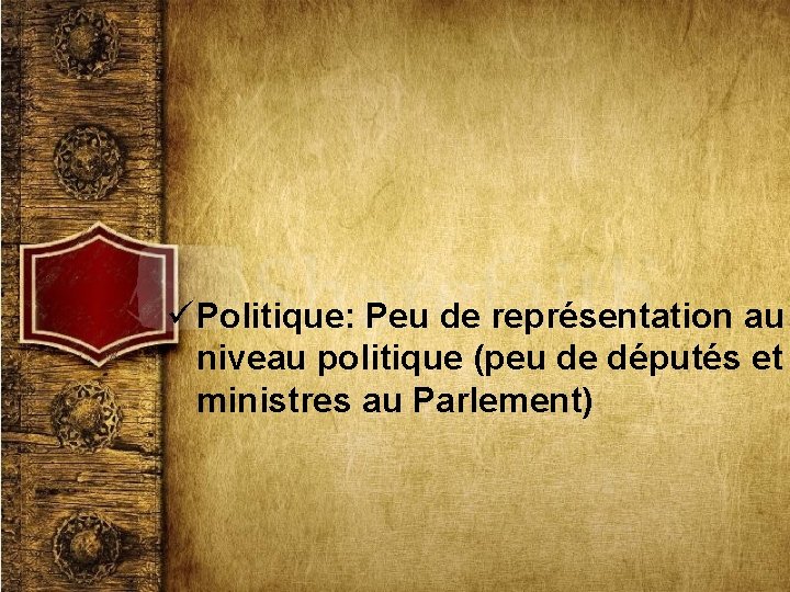 ü Politique: Peu de représentation au niveau politique (peu de députés et ministres au