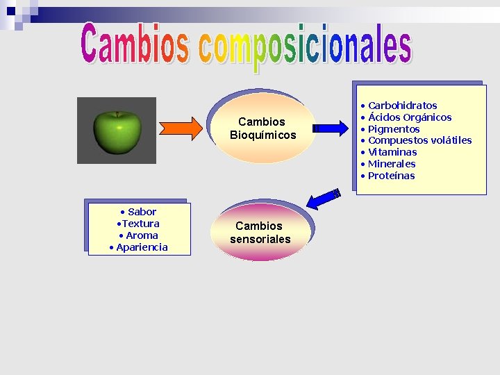 Cambios Bioquímicos • Sabor • Textura • Aroma • Apariencia Cambios sensoriales • Carbohidratos