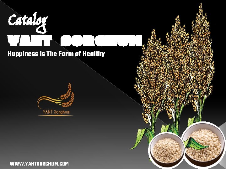 Catalog YANT SORGHUM Happiness is The Form of Healthy WWW. YANTSORGHUM. COM 