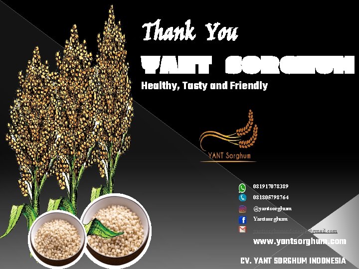 Thank You YANT SORGHUM Healthy, Tasty and Friendly 081917078389 081805798764 @yantsorghum Yantsorghum yantsorghumindonesia@gmail. com