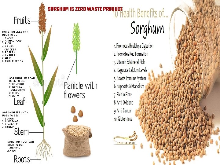 SORGHUM IS ZERO WASTE PRODUCT SORGHUM SEED CAN USED TO BE : 1. FLOUR
