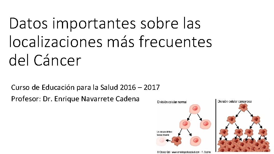 Datos importantes sobre las localizaciones más frecuentes del Cáncer Curso de Educación para la