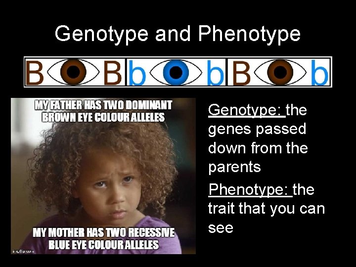 Genotype and Phenotype Genotype: the genes passed down from the parents Phenotype: the trait
