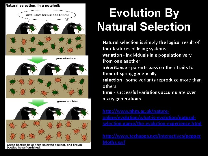 Evolution By Natural Selection Natural selection is simply the logical result of four features