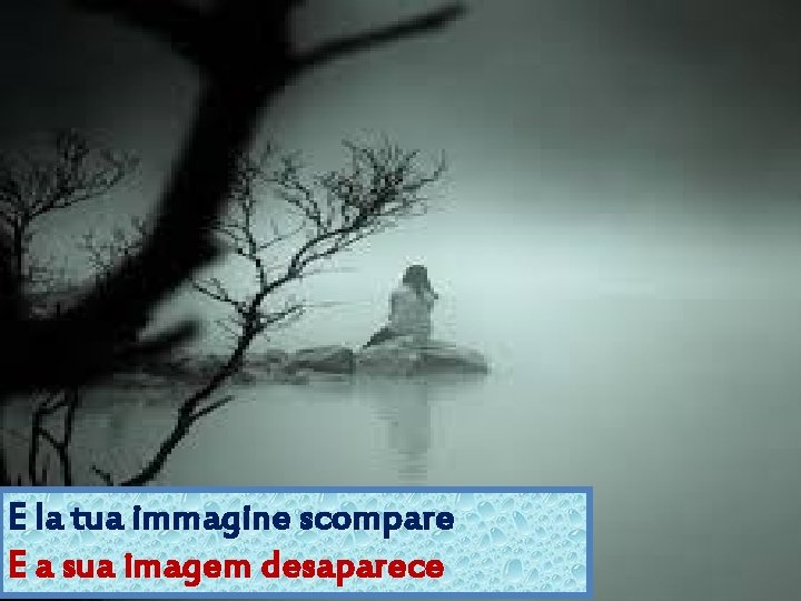 E la tua immagine scompare E a sua imagem desaparece 