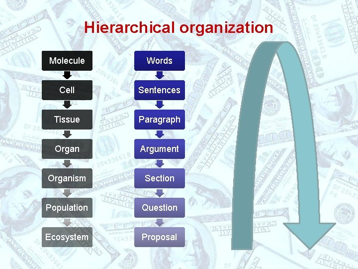 Hierarchical organization Molecule Words Cell Sentences Tissue Paragraph Organ Argument Organism Section Population Question