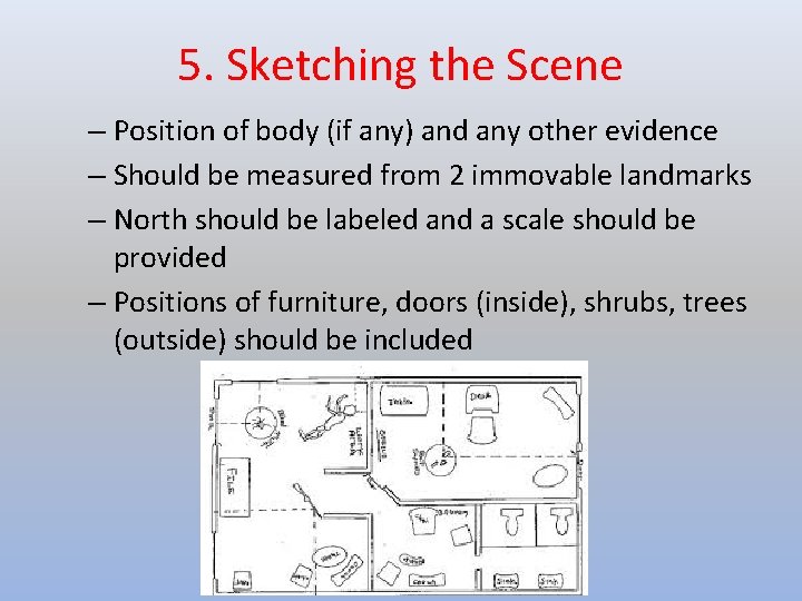 5. Sketching the Scene – Position of body (if any) and any other evidence