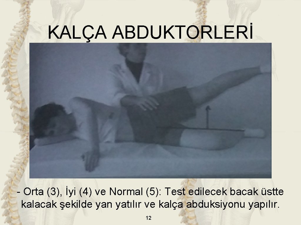 KALÇA ABDUKTORLERİ - Orta (3), İyi (4) ve Normal (5): Test edilecek bacak üstte