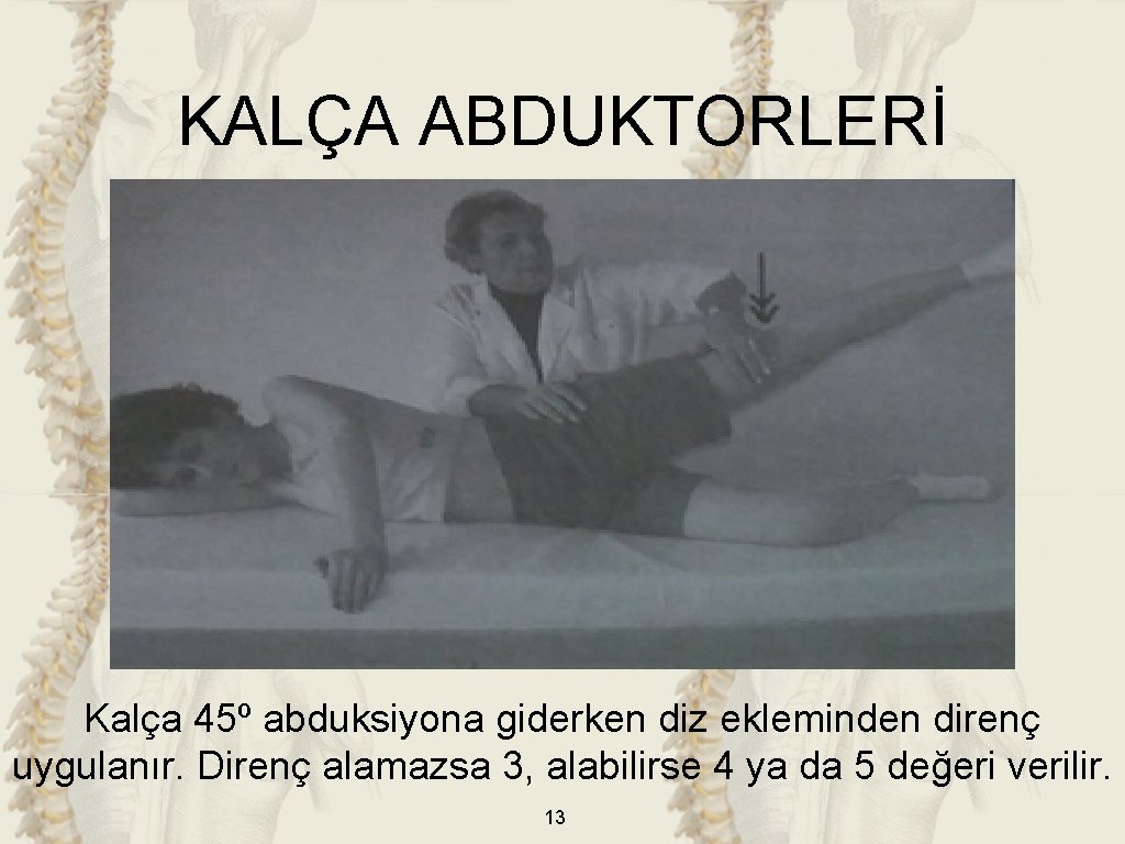 KALÇA ABDUKTORLERİ Kalça 45º abduksiyona giderken diz ekleminden direnç uygulanır. Direnç alamazsa 3, alabilirse