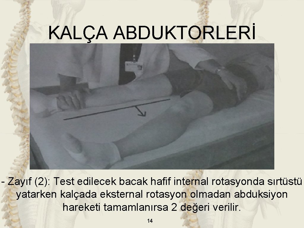 KALÇA ABDUKTORLERİ - Zayıf (2): Test edilecek bacak hafif internal rotasyonda sırtüstü yatarken kalçada