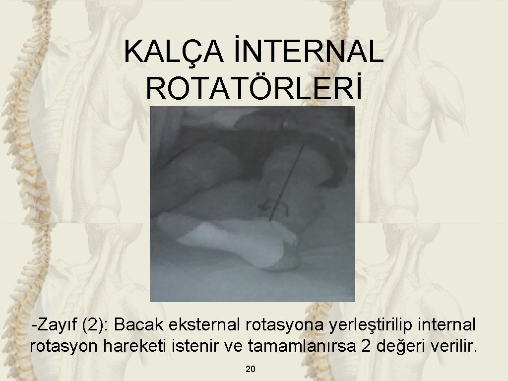 KALÇA İNTERNAL ROTATÖRLERİ -Zayıf (2): Bacak eksternal rotasyona yerleştirilip internal rotasyon hareketi istenir ve