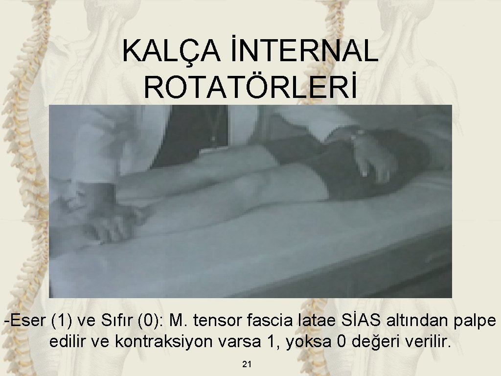 KALÇA İNTERNAL ROTATÖRLERİ -Eser (1) ve Sıfır (0): M. tensor fascia latae SİAS altından