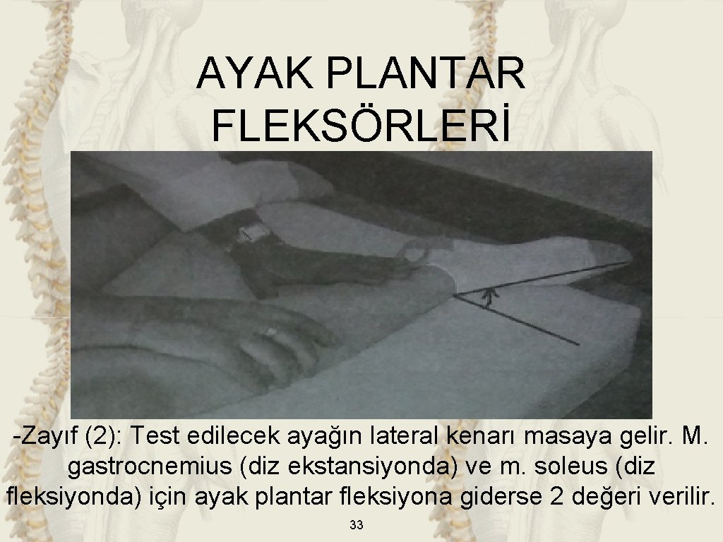 AYAK PLANTAR FLEKSÖRLERİ -Zayıf (2): Test edilecek ayağın lateral kenarı masaya gelir. M. gastrocnemius