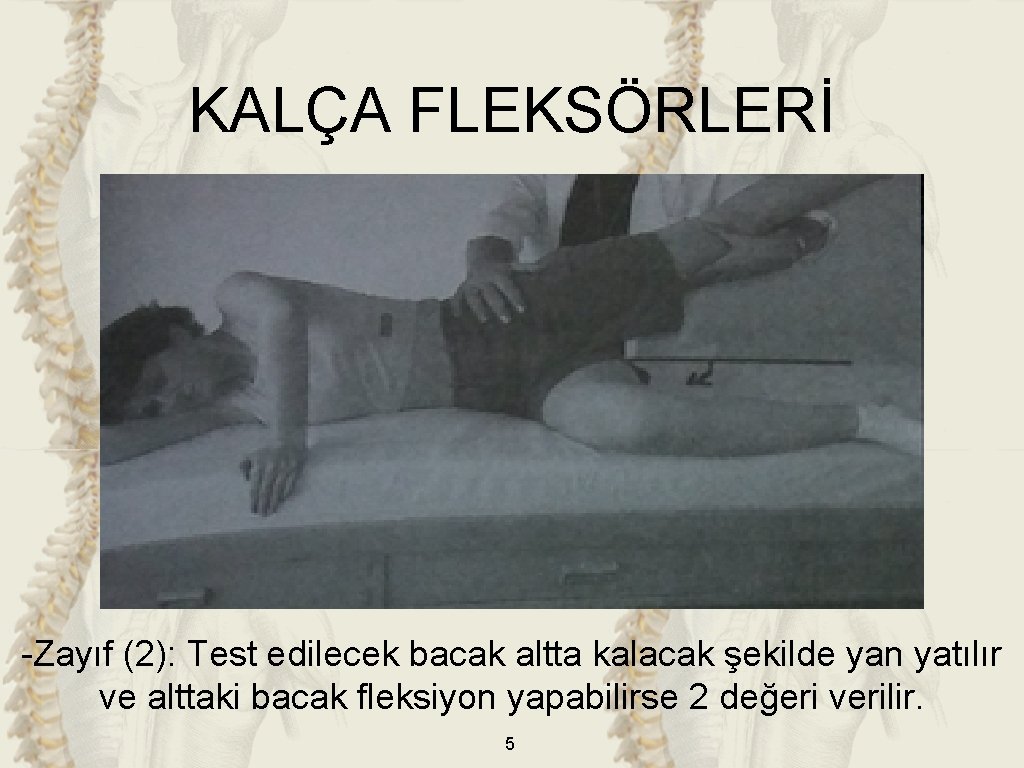 KALÇA FLEKSÖRLERİ -Zayıf (2): Test edilecek bacak altta kalacak şekilde yan yatılır ve alttaki