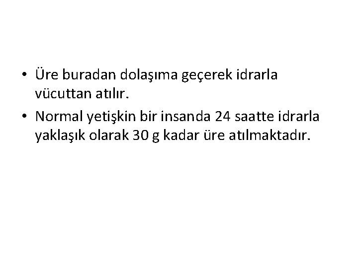  • Üre buradan dolaşıma geçerek idrarla vücuttan atılır. • Normal yetişkin bir insanda