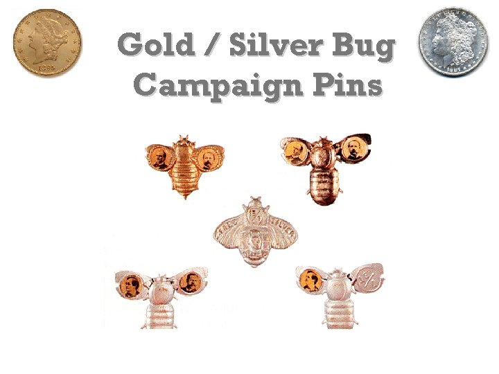 Gold / Silver Bug Campaign Pins 