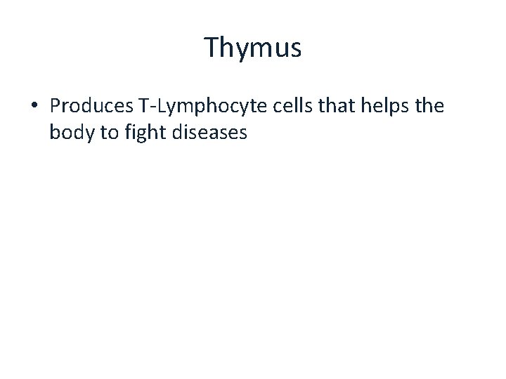Thymus • Produces T-Lymphocyte cells that helps the body to fight diseases 