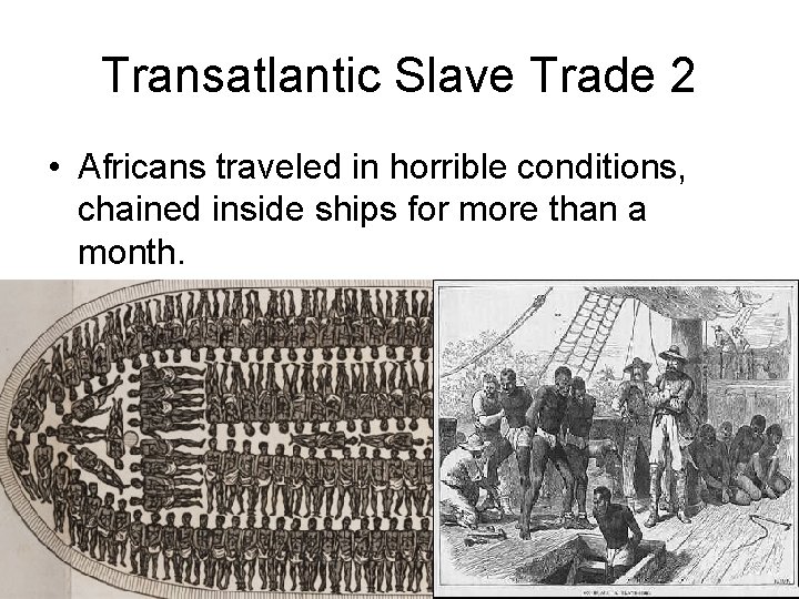 Transatlantic Slave Trade 2 • Africans traveled in horrible conditions, chained inside ships for