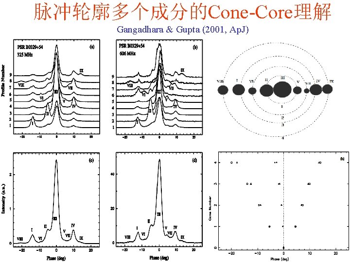 脉冲轮廓多个成分的Cone-Core理解 Gangadhara & Gupta (2001, Ap. J) 