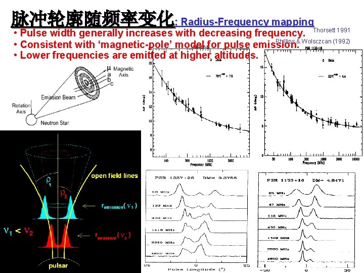 脉冲轮廓随频率变化: Radius-Frequency mapping • Pulse width generally increases with decreasing frequency. Thorsett 1991 Phillips