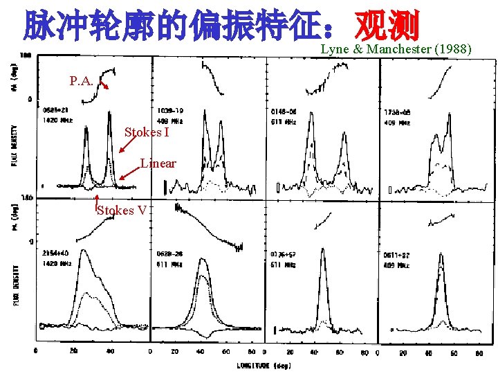 脉冲轮廓的偏振特征：观测 Lyne & Manchester (1988) P. A. Stokes I Linear Stokes V 