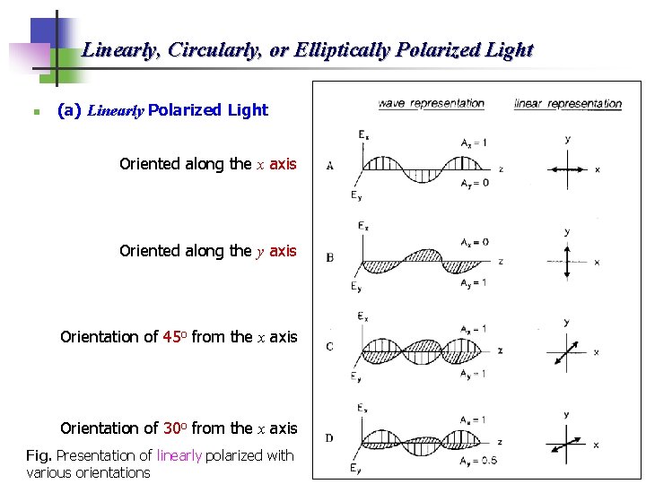 Linearly, Circularly, or Elliptically Polarized Light n (a) Linearly Polarized Light Oriented along the