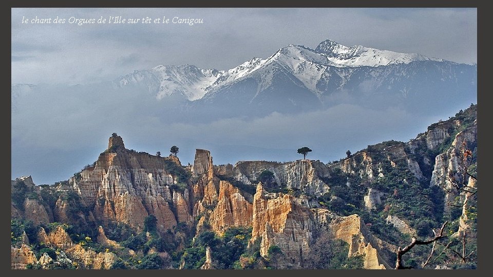 le chant des Orgues de l'Ille sur têt et le Canigou 