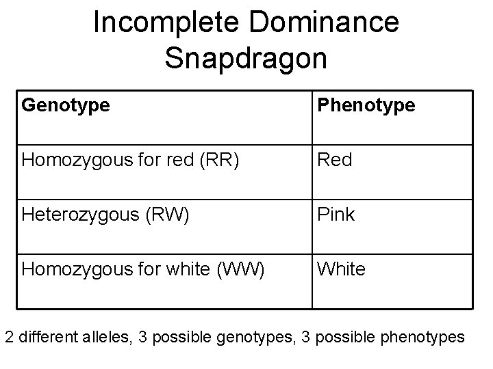 Incomplete Dominance Snapdragon Genotype Phenotype Homozygous for red (RR) Red Heterozygous (RW) Pink Homozygous