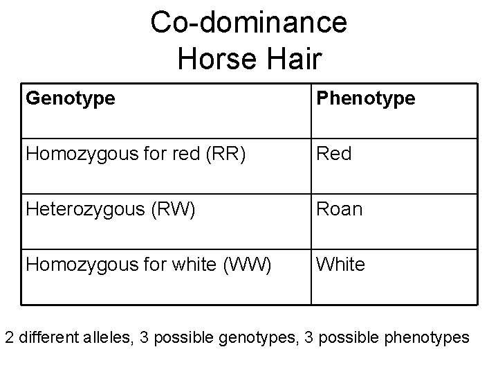 Co-dominance Horse Hair Genotype Phenotype Homozygous for red (RR) Red Heterozygous (RW) Roan Homozygous
